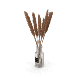 عشب البامباس